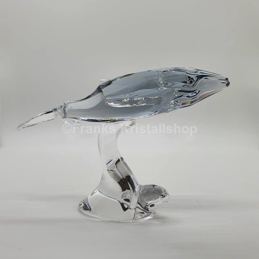 SWAROVSKI SCS Jahresfigur Junger Wal Paikea 1096741
