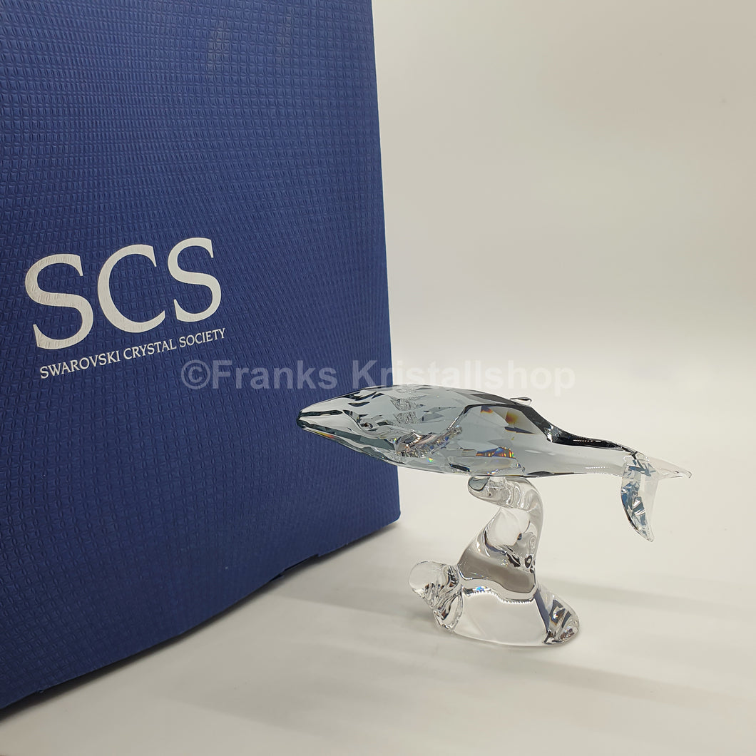 SWAROVSKI SCS Jahresfigur Junger Wal Paikea 1096741