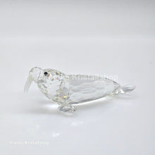 Lade das Bild in den Galerie-Viewer, SWAROVSKI Walross 153901
