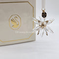 SWAROVSKI Weihnachtsstern 2025 3D Klar Annual Edition 5701506