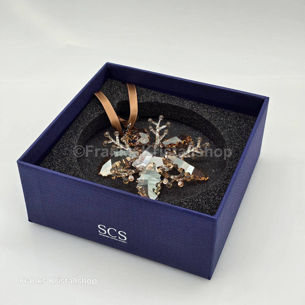 SWAROVSKI Weihnachtsstern SCS 2020 Winterliches Funkeln Winter Sparkle 5533949