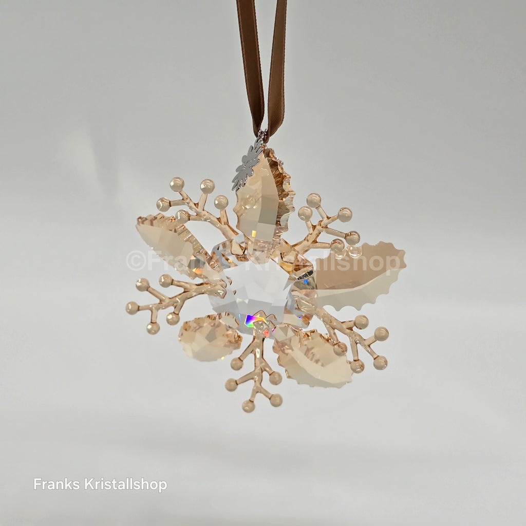 SWAROVSKI Weihnachtsstern SCS 2020 Winterliches Funkeln Winter Sparkle 5533949