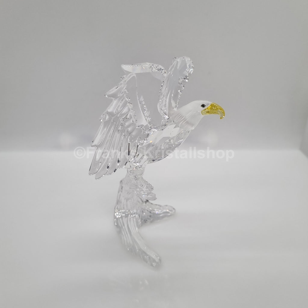 SWAROVSKI Weißkopfseeadler Seeadler 248003 oU