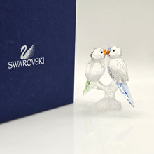Lade das Bild in den Galerie-Viewer, SWAROVSKI Wellensittiche Color 680627 oU
