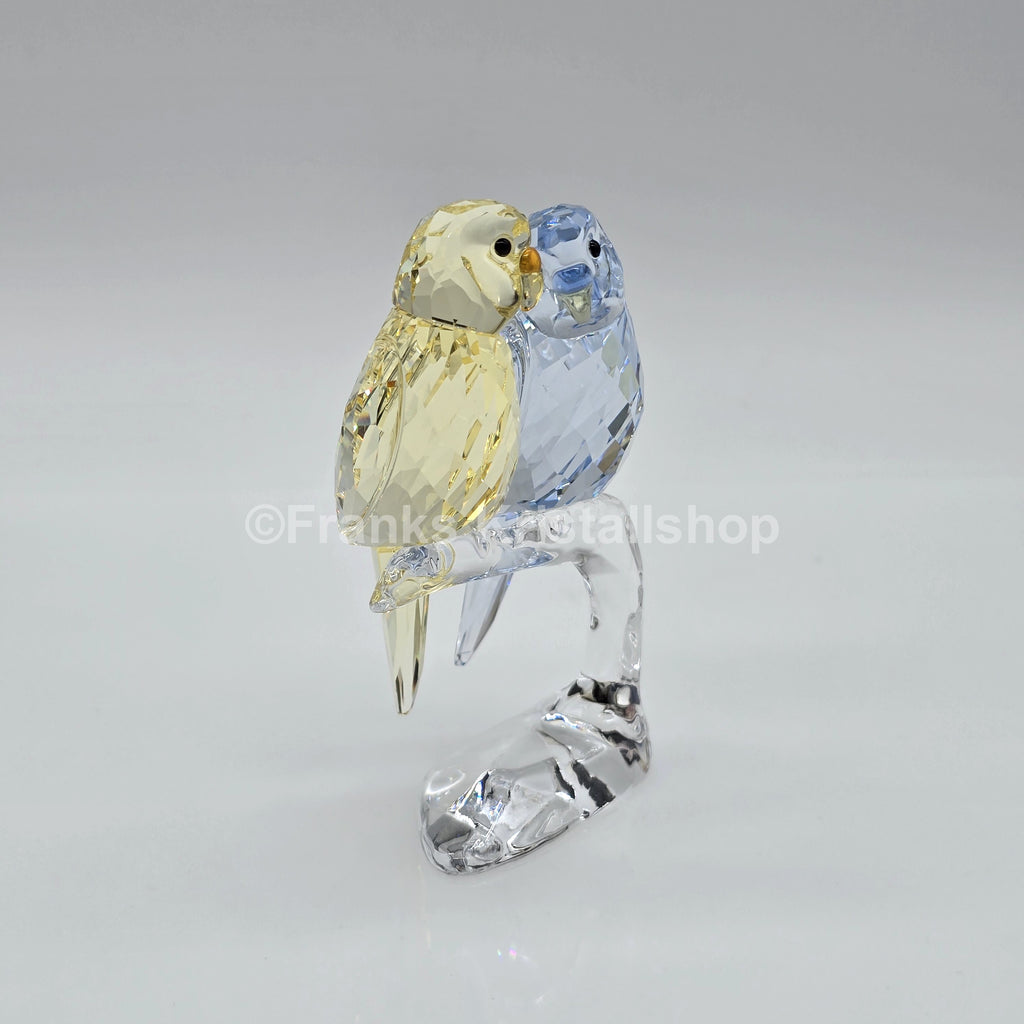 SWAROVSKI Wellensittiche Color 5004725 oU