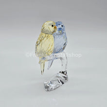 Lade das Bild in den Galerie-Viewer, SWAROVSKI Wellensittiche Color 5004725 oU
