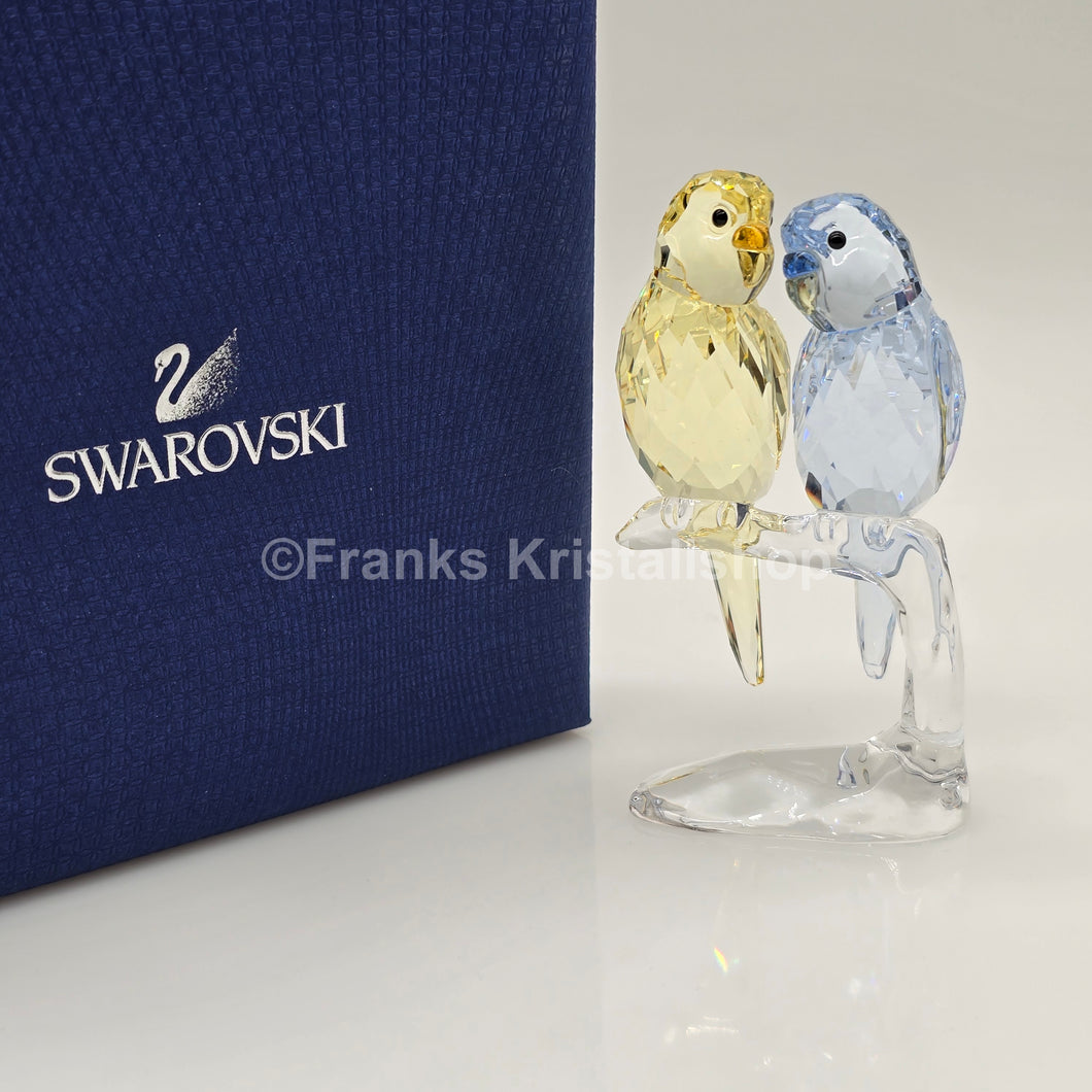 SWAROVSKI Wellensittiche Color 5004725 oU