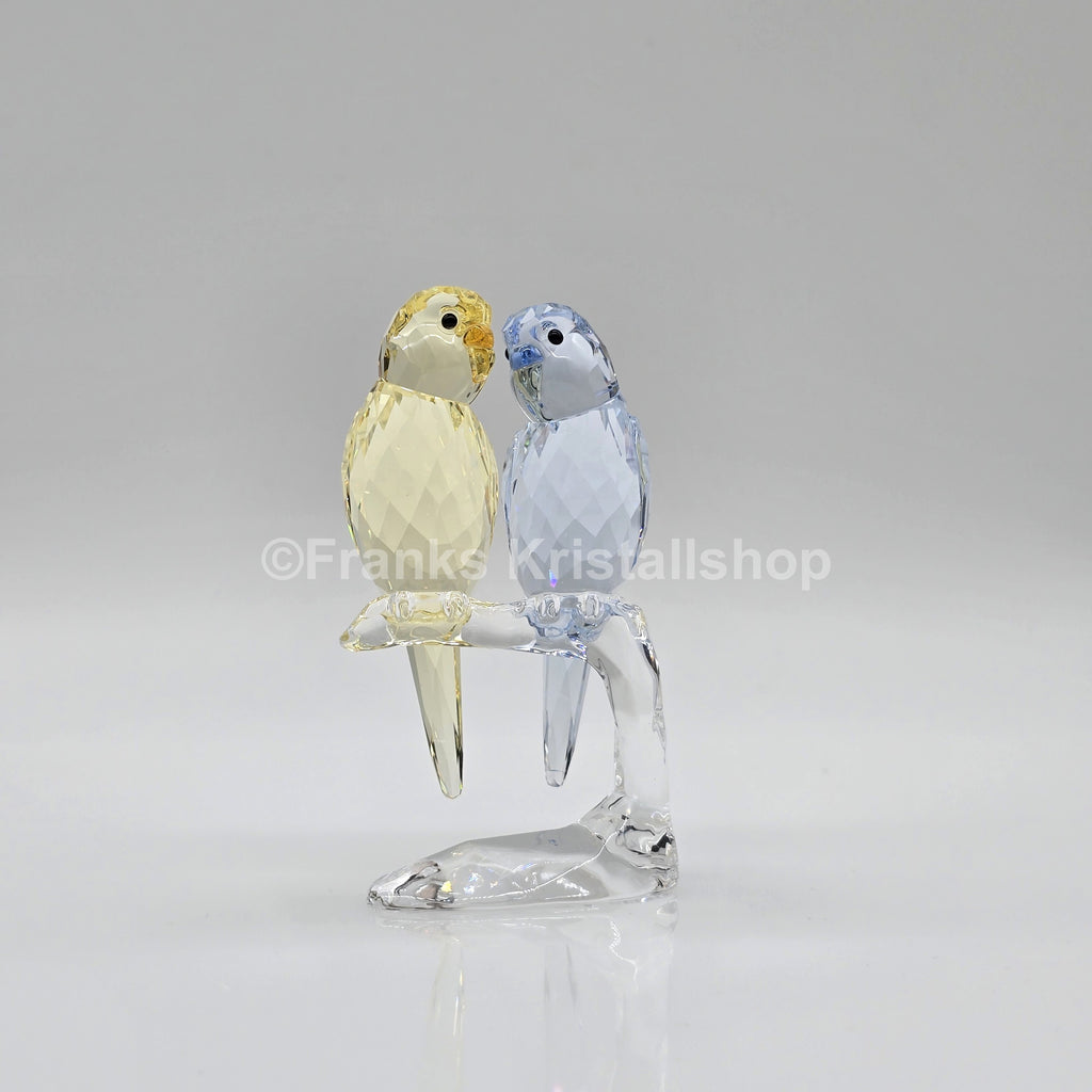SWAROVSKI Wellensittiche Color 5004725 oU