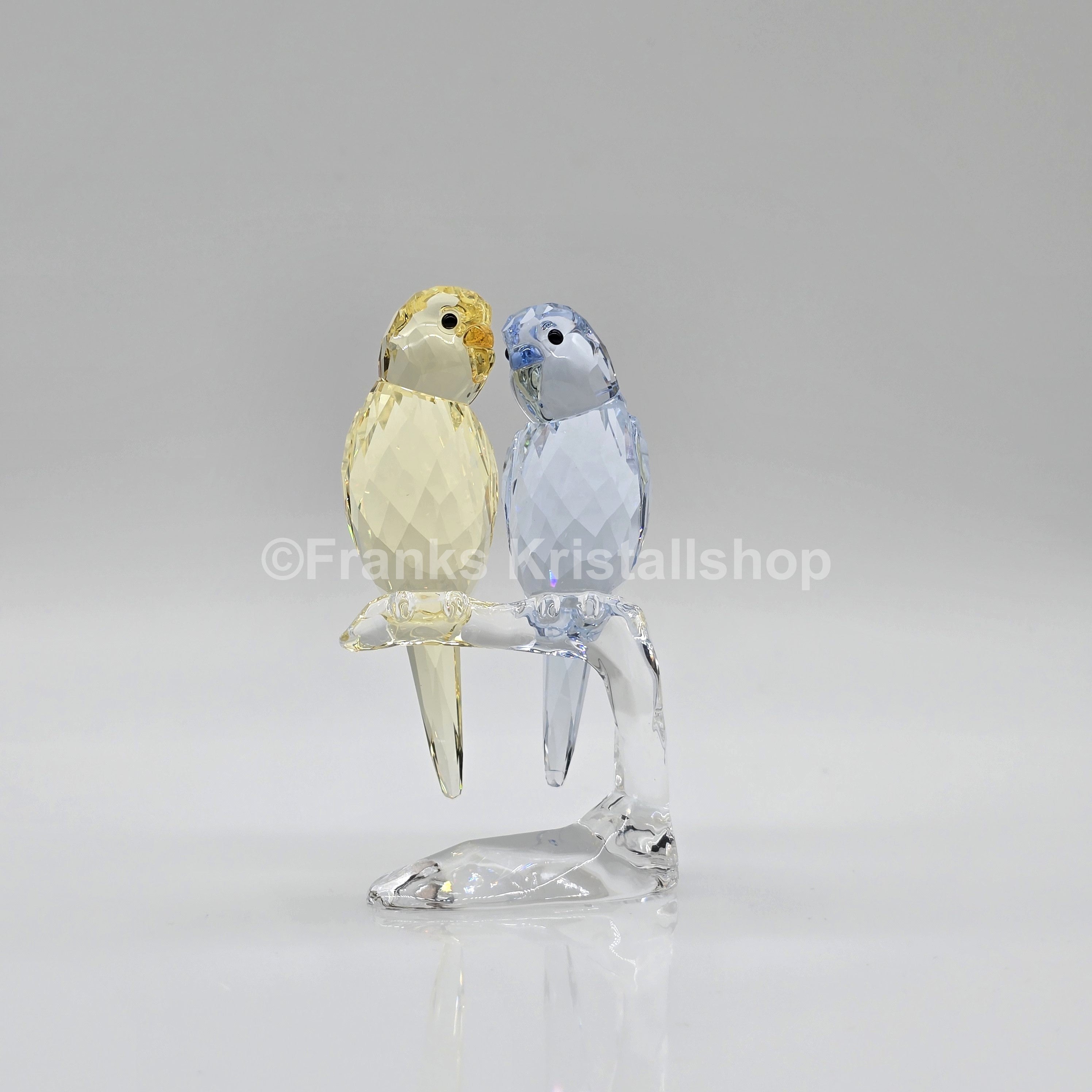 SWAROVSKI Wellensittiche Color 5004725 oU