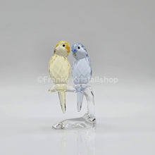 Lade das Bild in den Galerie-Viewer, SWAROVSKI Wellensittiche Color 5004725 oU
