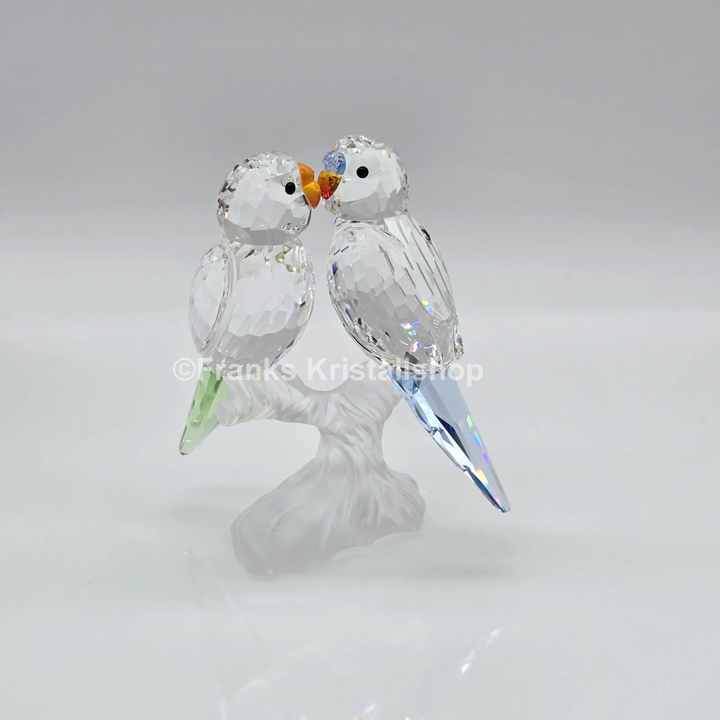 SWAROVSKI Wellensittiche Color 680627
