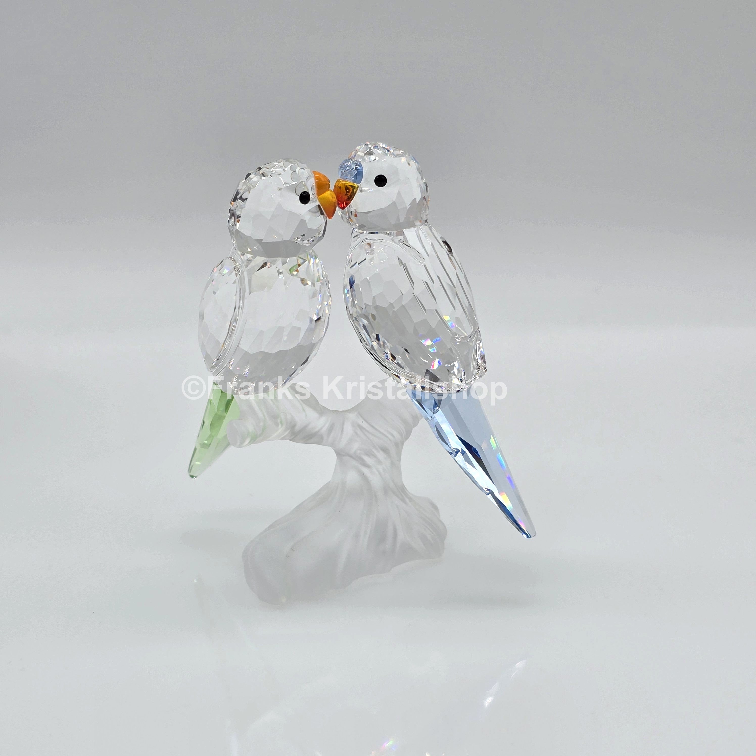 SWAROVSKI Wellensittiche Color 680627