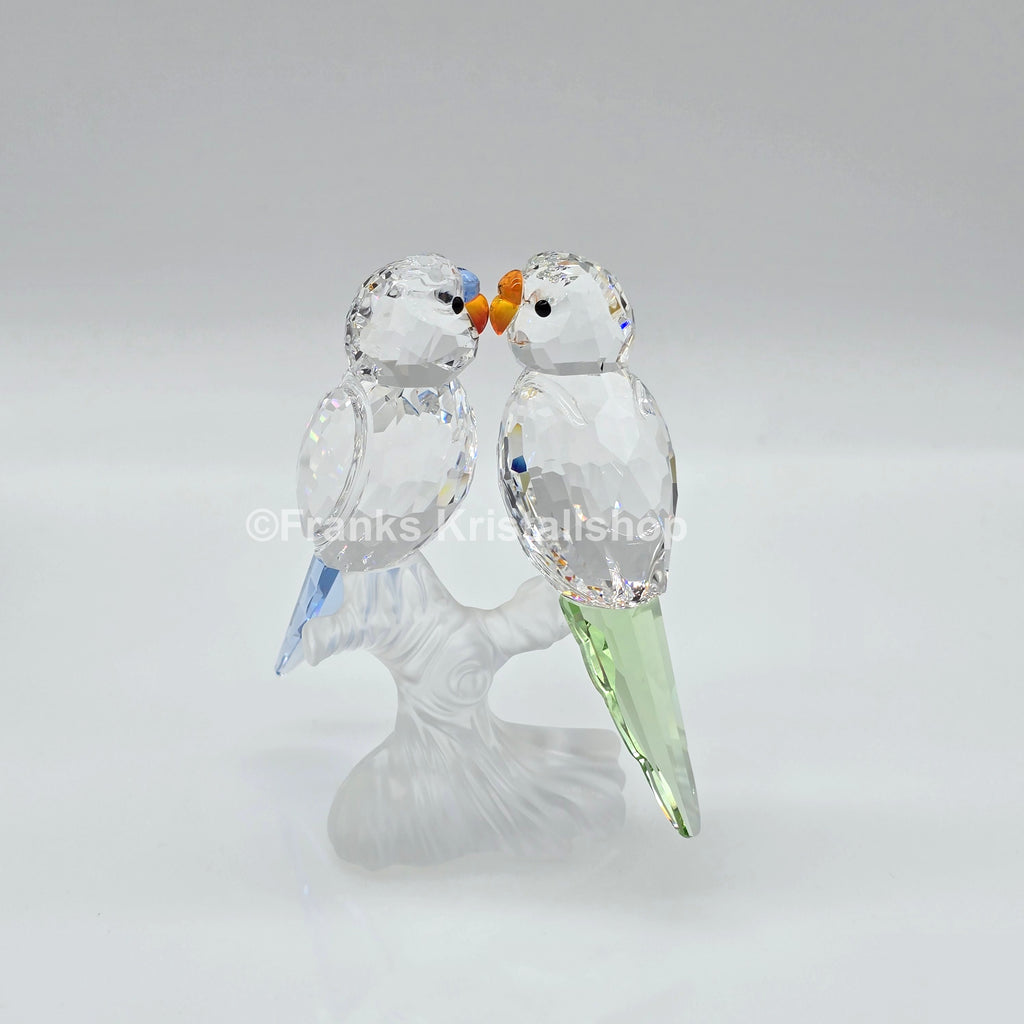 SWAROVSKI Wellensittiche Color 680627