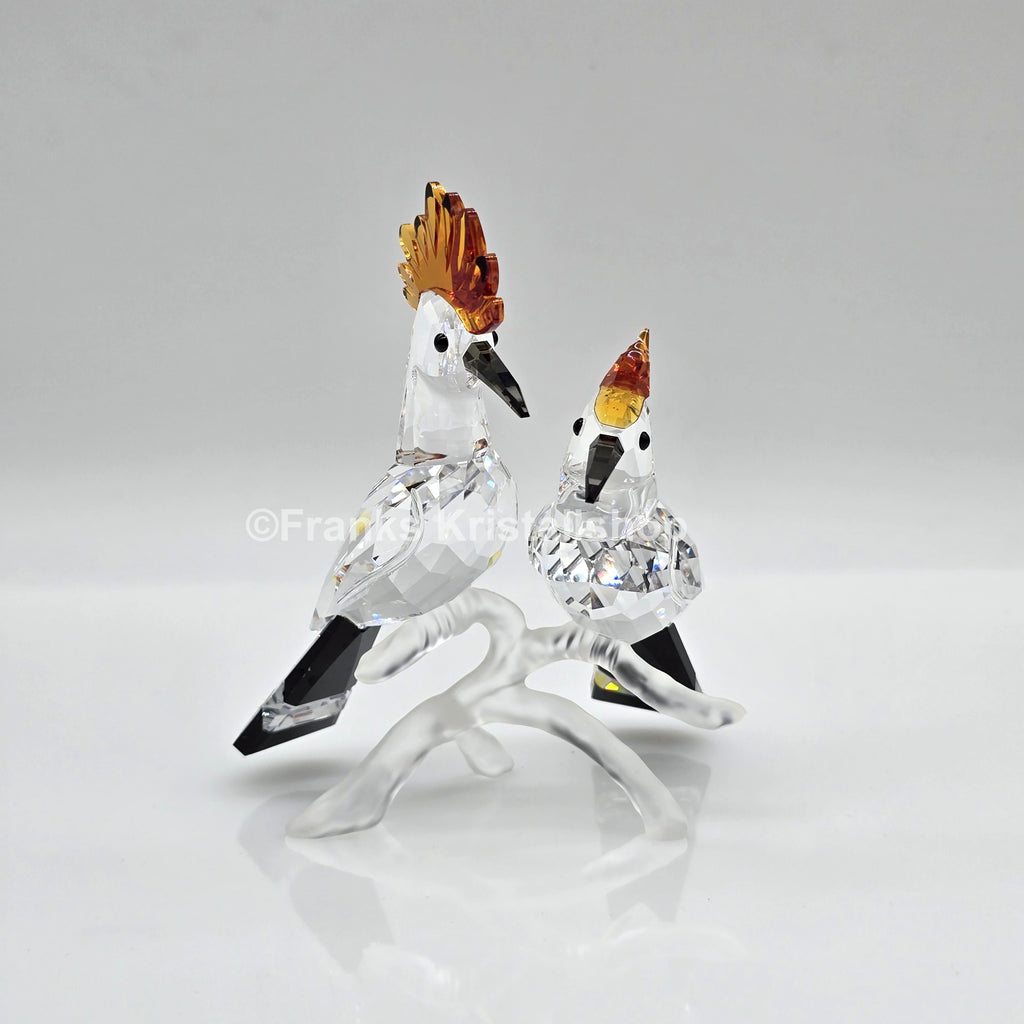 SWAROVSKI Wiedehopfe 925080