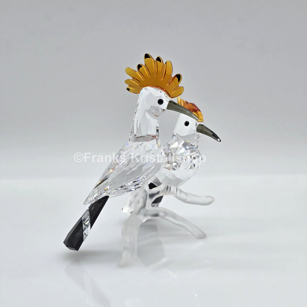 SWAROVSKI Wiedehopfe 925080