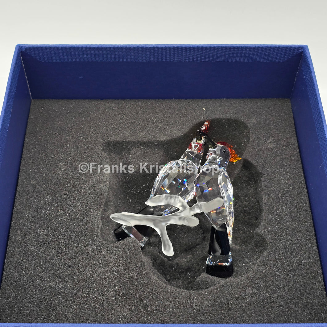 SWAROVSKI Wiedehopfe 925080