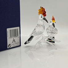 Lade das Bild in den Galerie-Viewer, SWAROVSKI Wiedehopfe 925080
