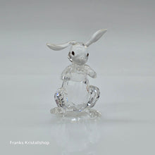 Lade das Bild in den Galerie-Viewer, SWAROVSKI Winter Hase 5464878
