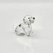 Lade das Bild in den Galerie-Viewer, SWAROVSKI Asian Symbols Zodiac Hund 622843
