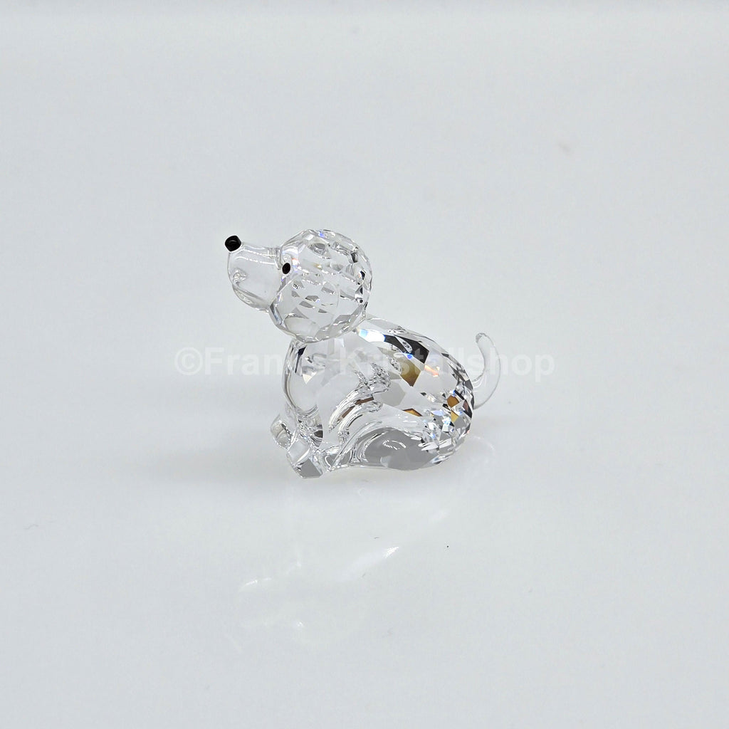 SWAROVSKI Asian Symbols Zodiac Hund 622843