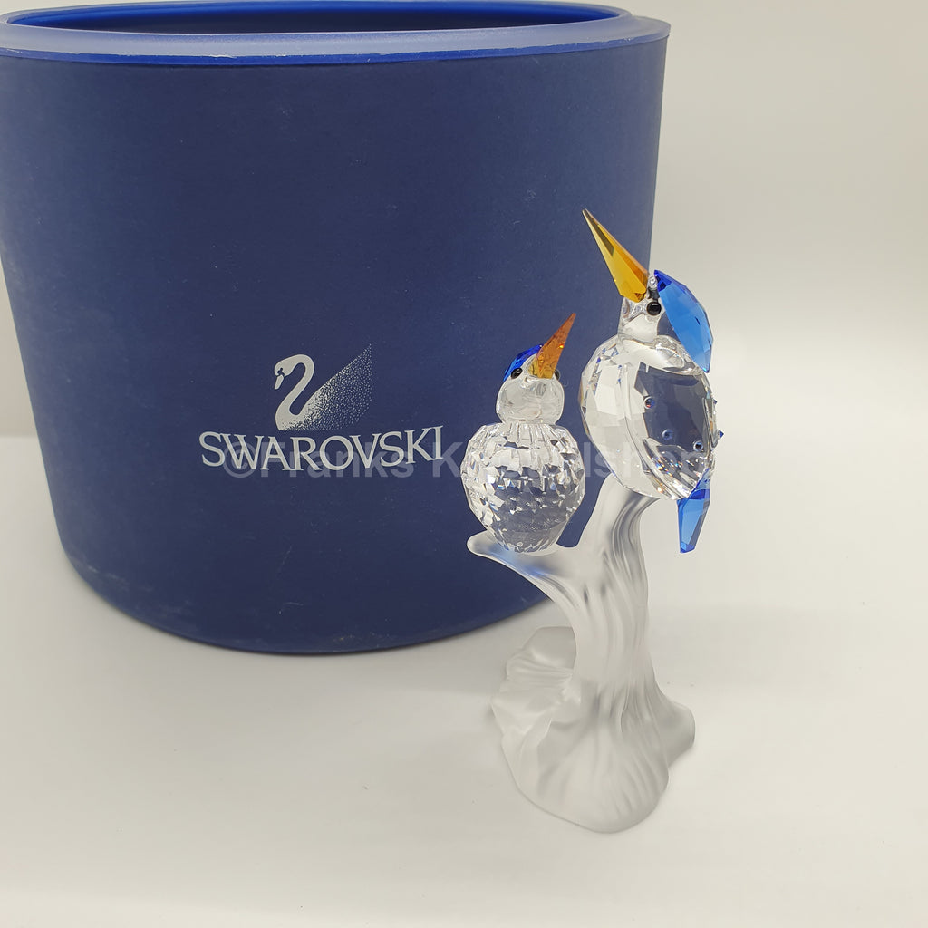 SWAROVSKI Eisvögel Zwerghaubenfischer 623323