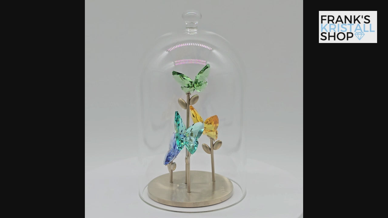 SWAROVSKI Jungle Beats Schmetterling Glasglocke 5619219