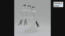 Laden und Abspielen von Videos im Galerie-Viewer, SWAROVSKI Schwalben 892039 oU
