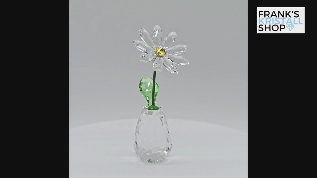 SWAROVSKI Blumenträume Gänseblümchen Daisy 5723649