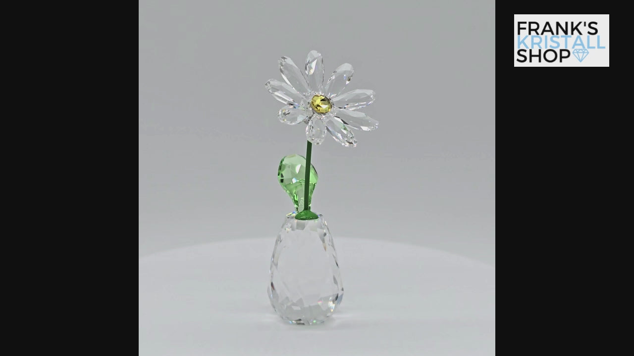 SWAROVSKI Blumenträume Gänseblümchen Daisy 5723649