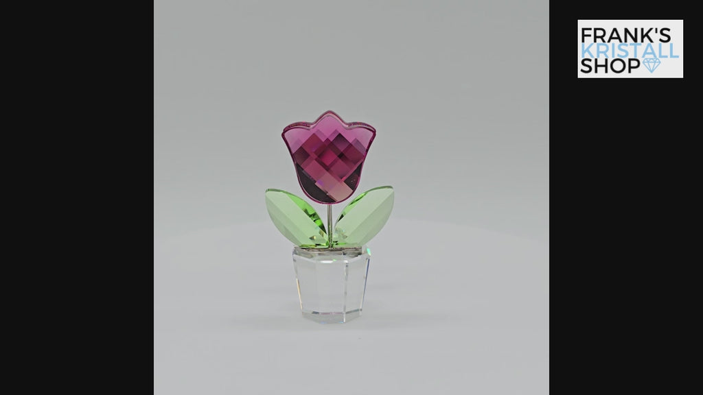 SWAROVSKI Blumenträume Tulpe Rosa Pink im Blumentopf 657111 AV