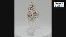 Laden und Abspielen von Videos im Galerie-Viewer, SWAROVSKI Zebra 1050853 oU
