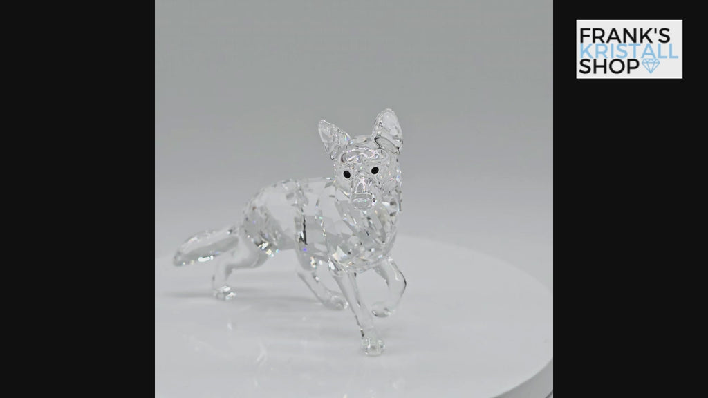 SWAROVSKI Schäferhund 5135912 oU