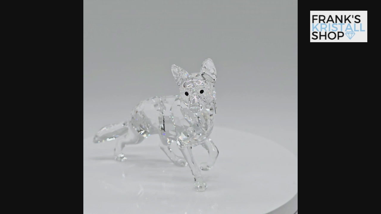 SWAROVSKI Schäferhund 5135912 oU