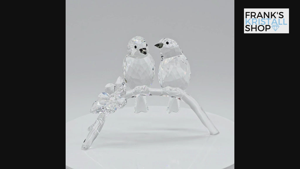 SWAROVSKI Brillenvögel 5249843 oU