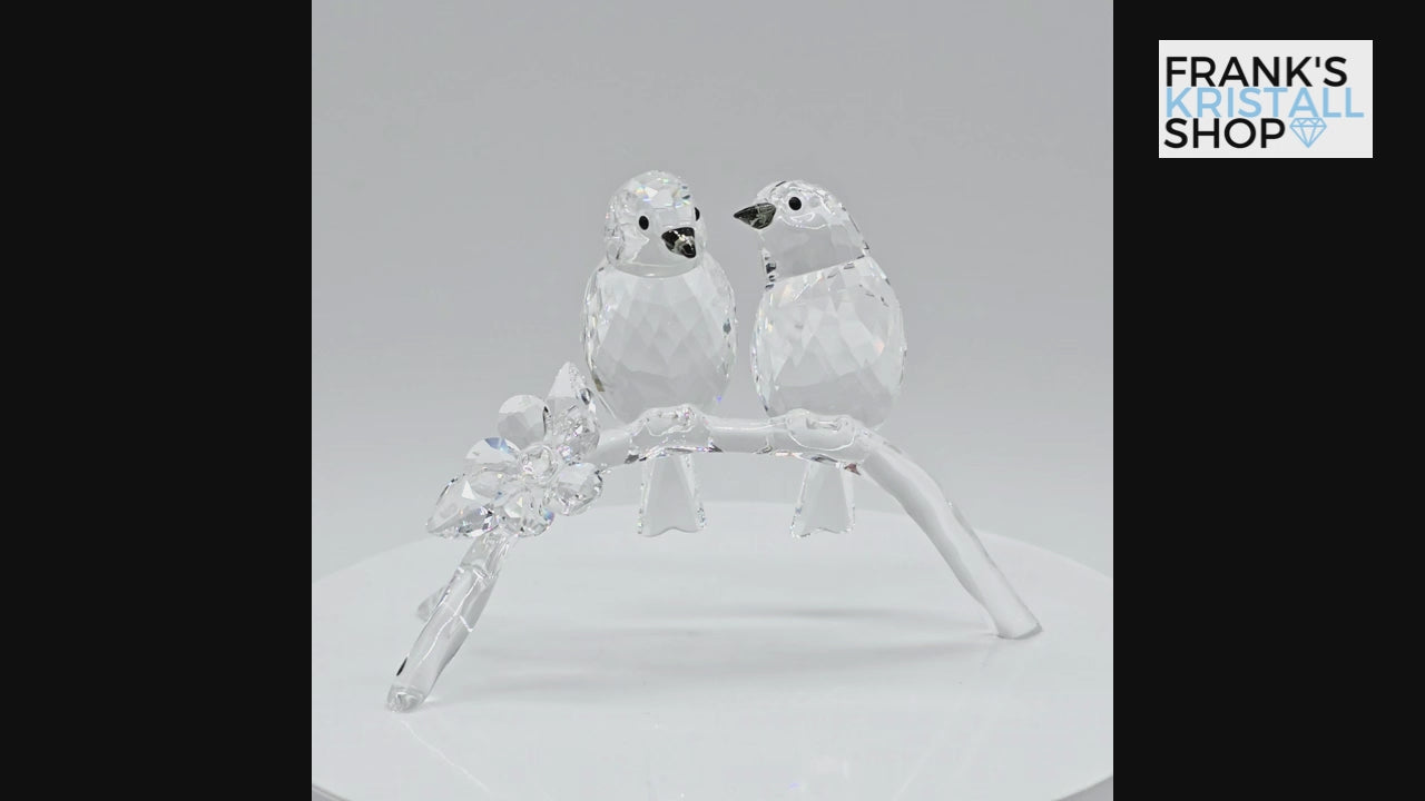 SWAROVSKI Brillenvögel 5249843 oU