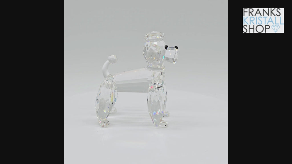 SWAROVSKI Pudel Stehend 167571