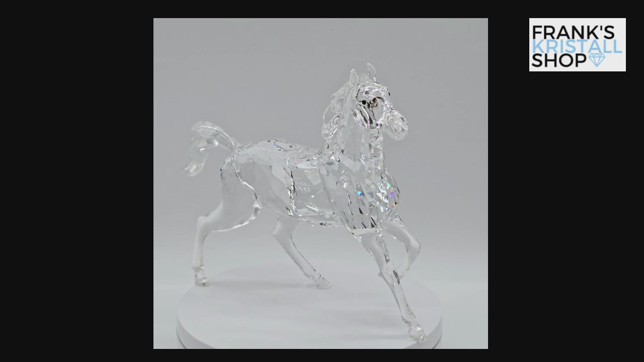 SWAROVSKI Hengst 5135909 oU