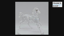 Laden und Abspielen von Videos im Galerie-Viewer, SWAROVSKI Hengst 5135909 oU
