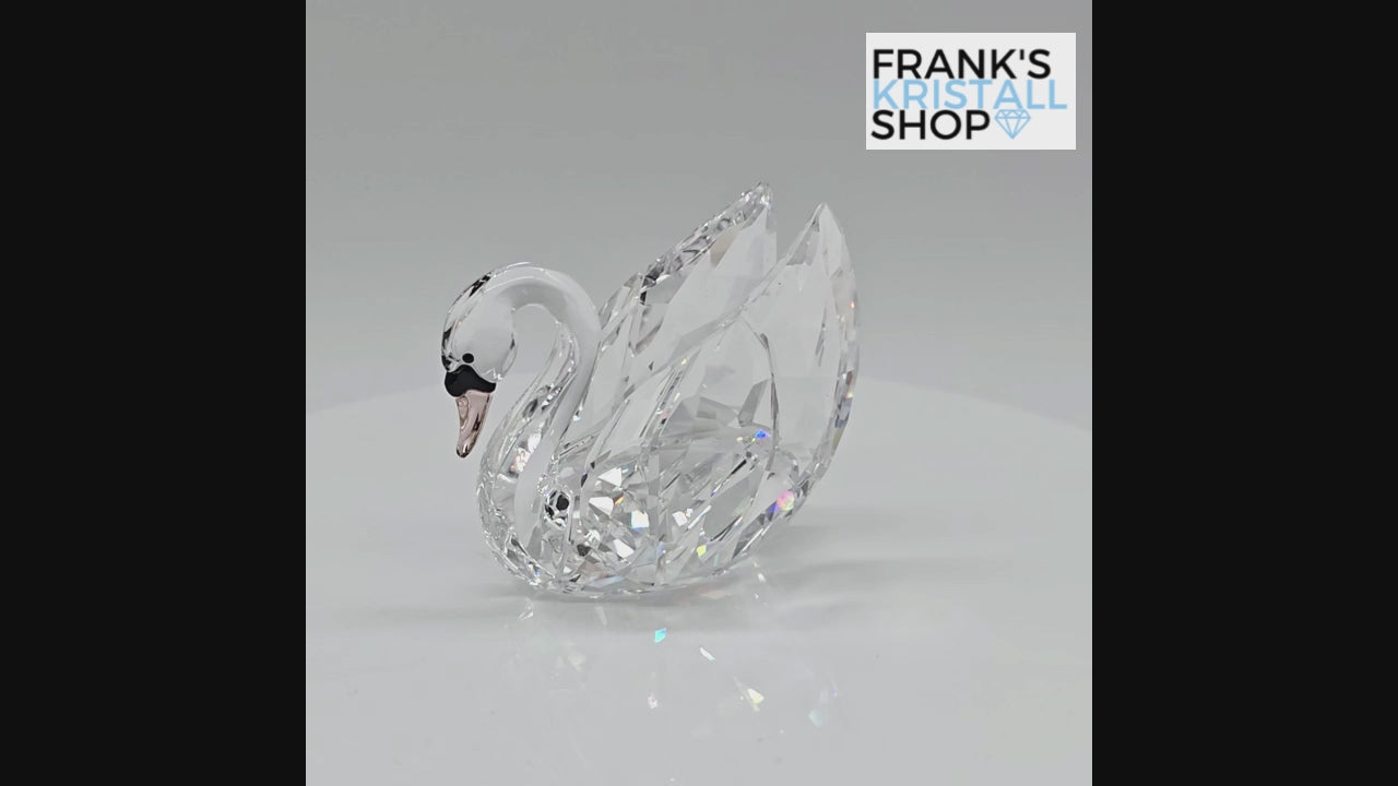 SWAROVSKI Schwan mittel Gefiederte Schönheiten 5004724