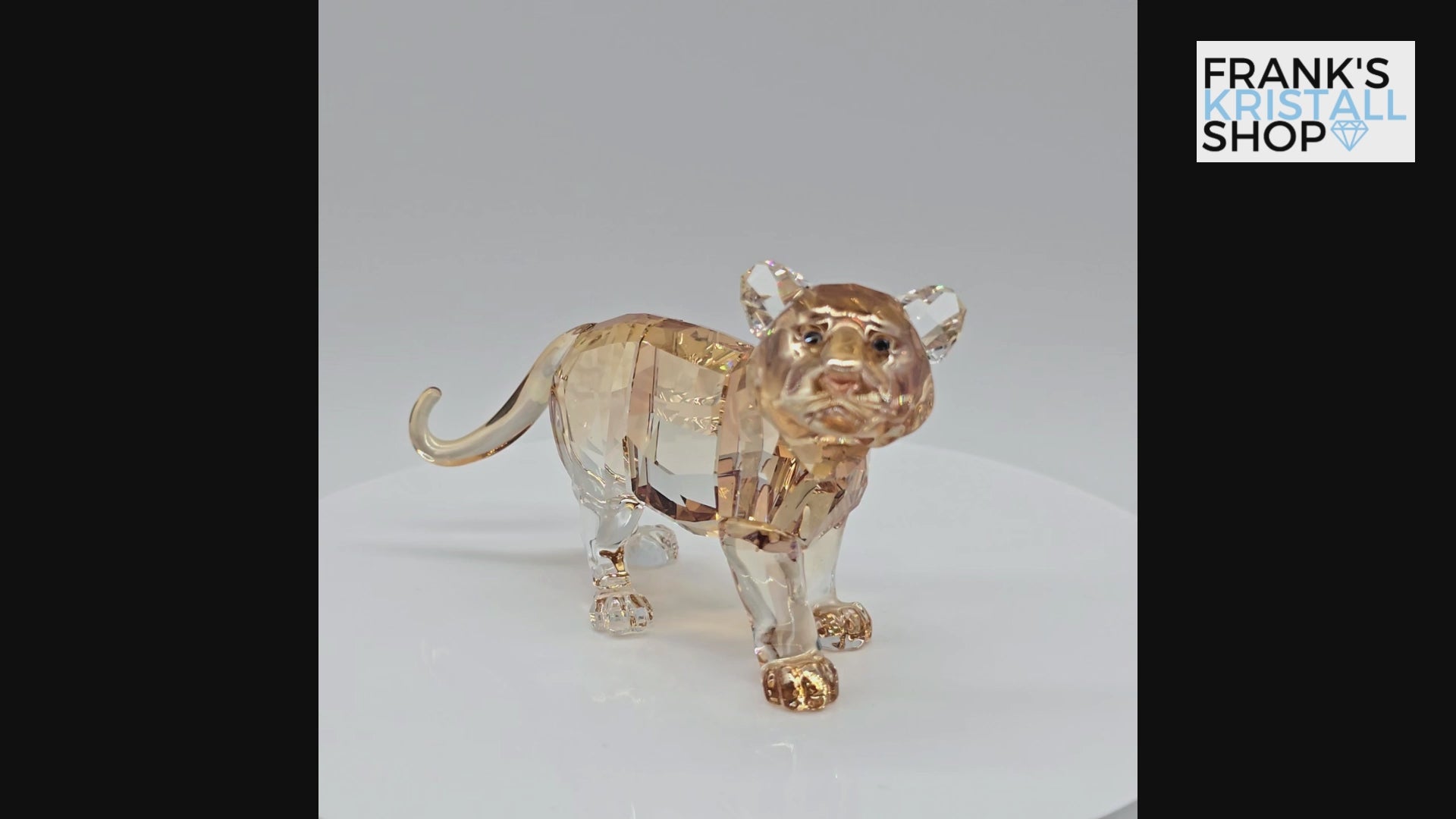 SWAROVSKI SCS Junger Tiger 2010 stehend 1016677