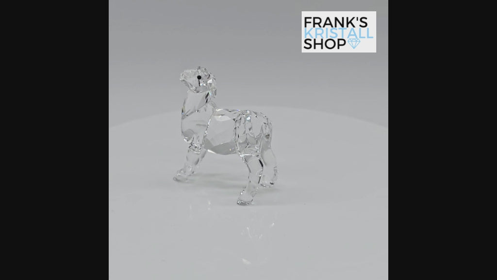 SWAROVSKI Weihnachtskrippe Schaf 5298145