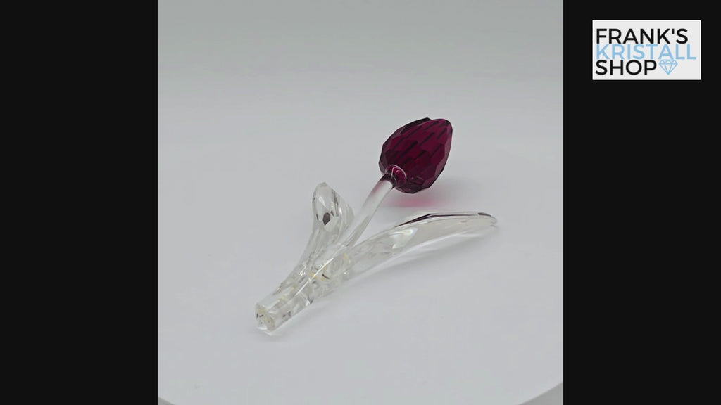 SWAROVSKI SCS Tulpe Rot 626481