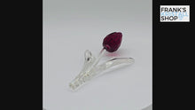 Laden und Abspielen von Videos im Galerie-Viewer, SWAROVSKI SCS Tulpe Rot 626481 oU
