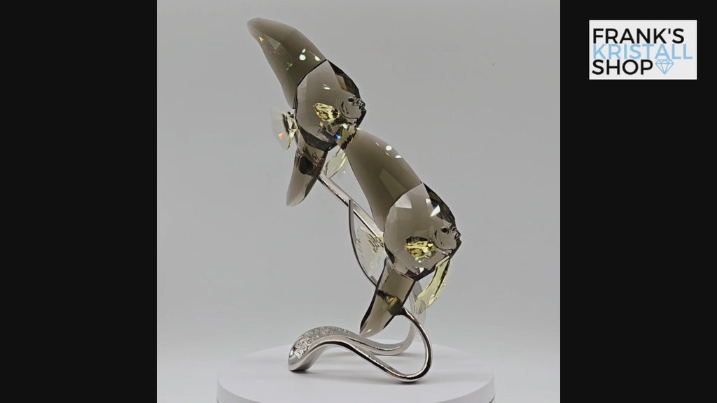 SWAROVSKI Crystal Paradise Fledermausfisch 1036571 oU