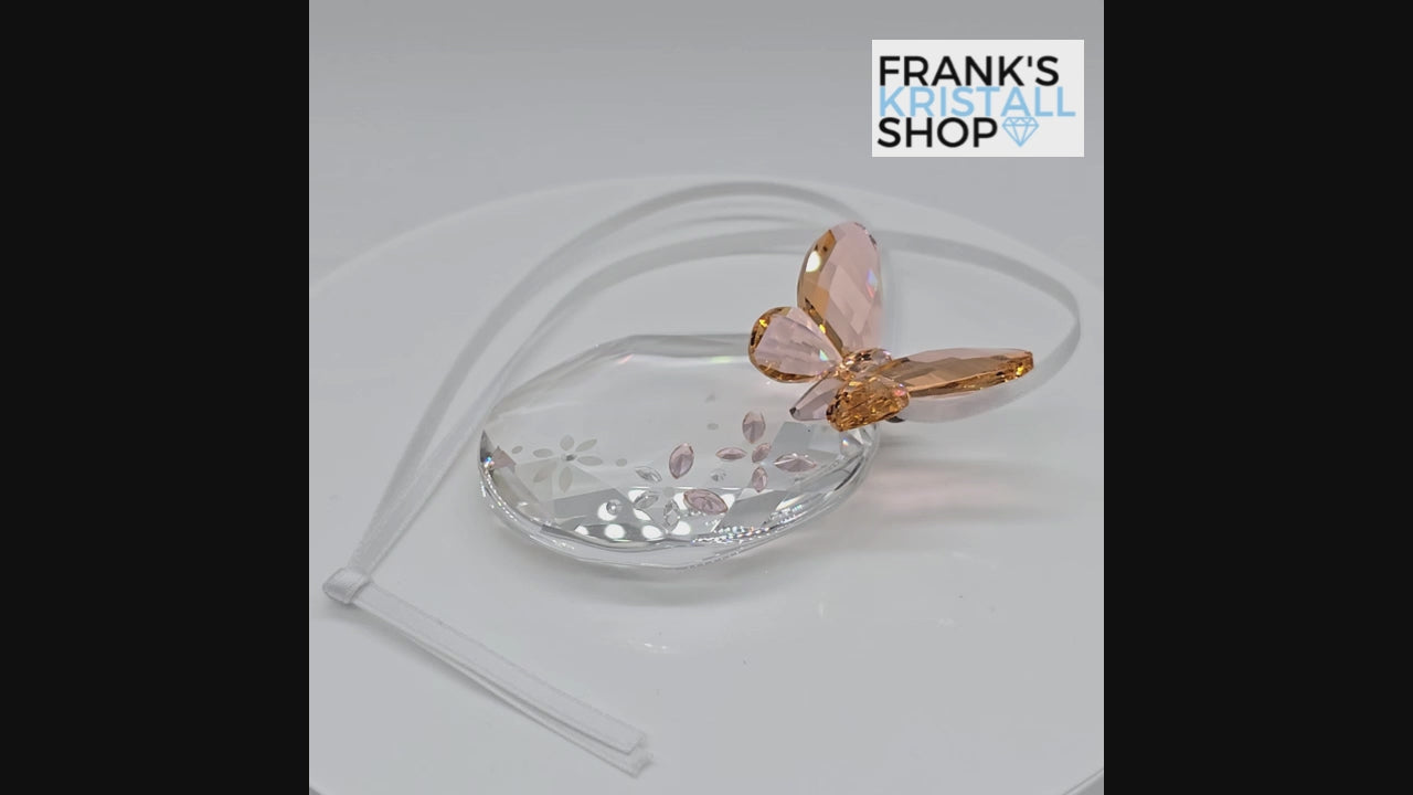 SWAROVSKI Schmetterling Fensterornament 899377 oU