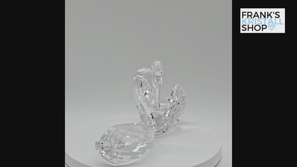 SWAROVSKI Schwanenpaar 5135936