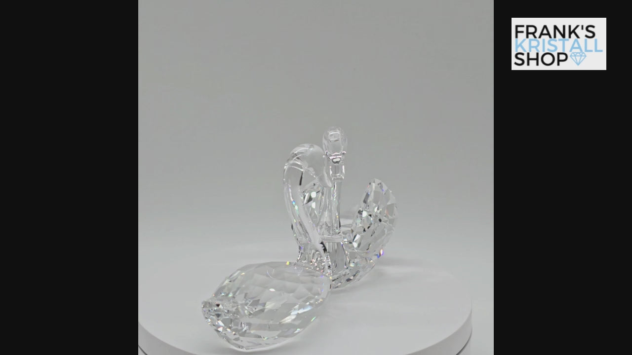 SWAROVSKI Schwanenpaar 5135936