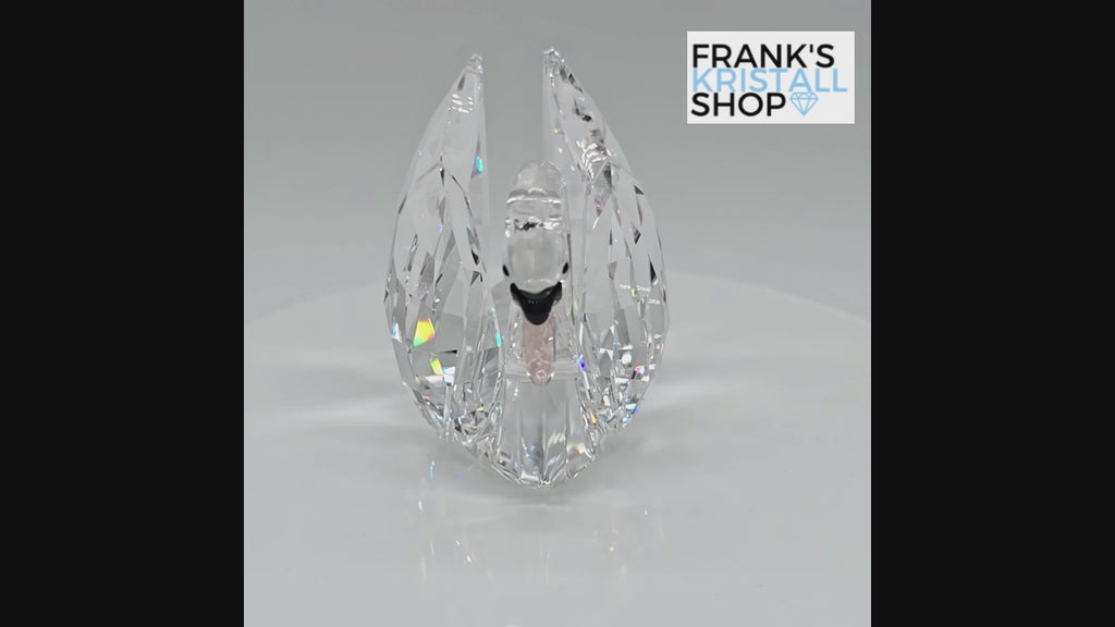 SWAROVSKI Schwan groß Gefiederte Schönheiten 5004723
