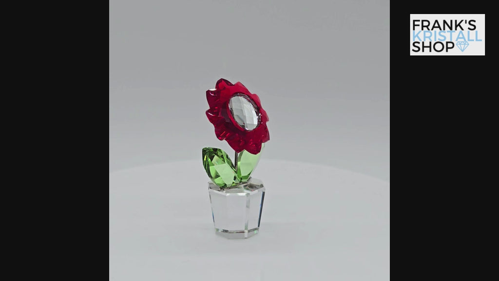 SWAROVSKI Blumenträume Aster im Blumentopf 681737 AV