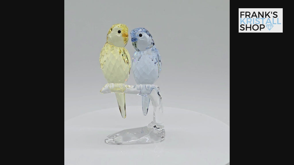 SWAROVSKI Wellensittiche Color 5004725 oU